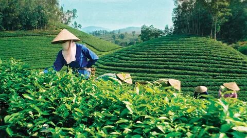 Video ngắn – Giải pháp truyền thông thông minh cho doanh nghiệp nhỏ
