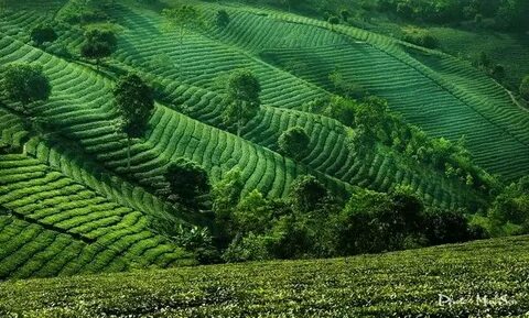 Phụ nữ tuổi này dễ có 