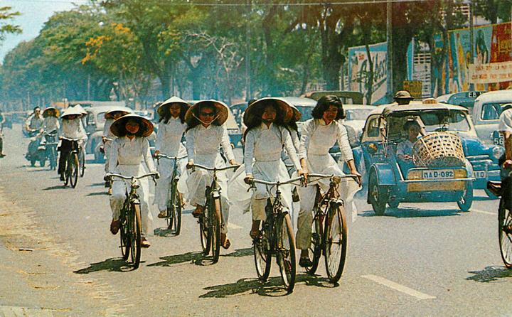 Nội dung: Mùa hè đang đầy vui vẻ với những bức tường nhảy vò đang xu hướng trên mạng