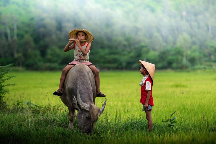 Hotspot Matrix: Giảm Thiểu Chi Phí, Tối Đa Hóa Lợi Nhuận Trong Ngành Video Ngắn
