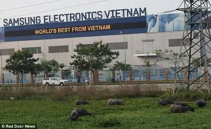 Hotspot Matrix: Nâng tầm hiệu suất và phạm vi tiếp cận nội dung video ngắn